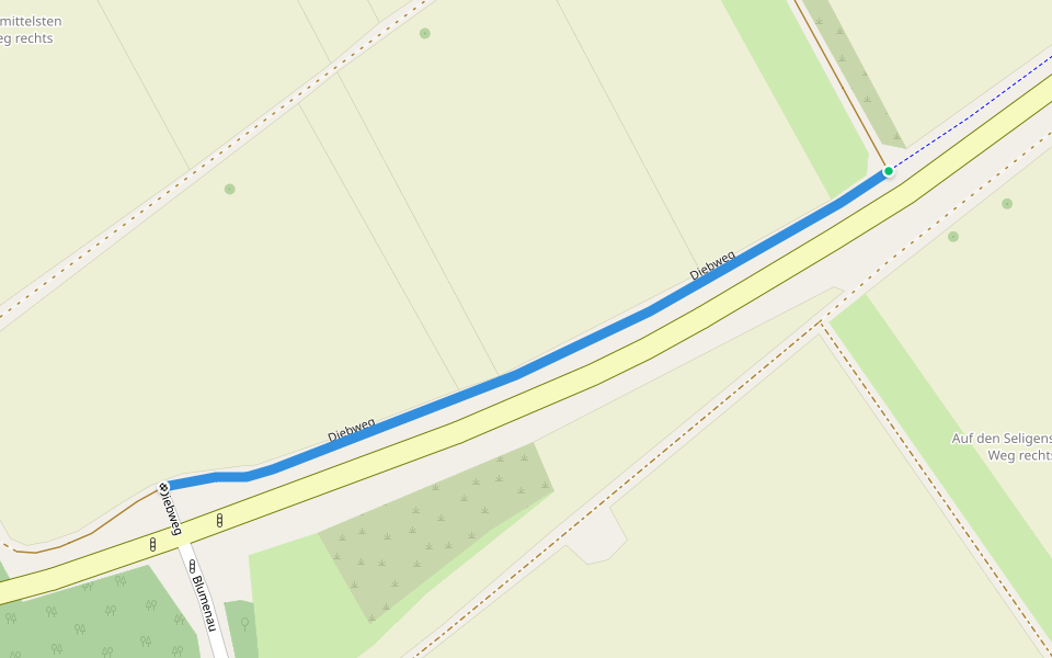 Diebweg walking route map in Rodgau