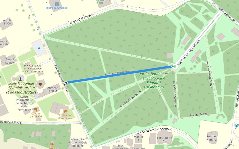 Rue Jean-Pierre Profizi walking route map in Godomey