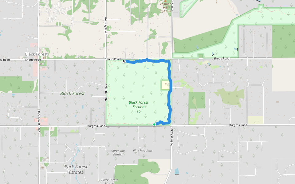 Black Forest Section 16 Trail