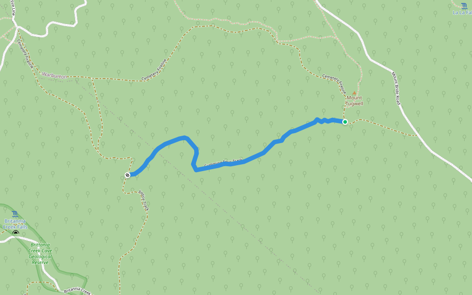 Cumming Spur Track walking route map in Warburton