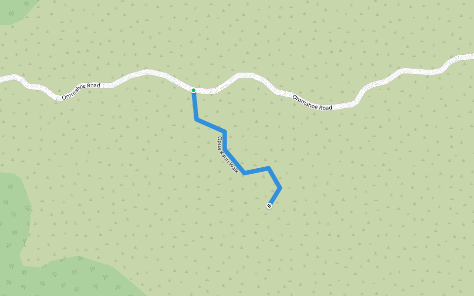 Opua Kauri Walk walking route map in Kaikohe