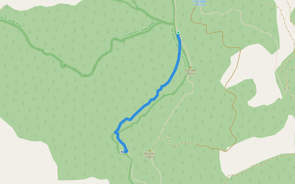 Самолетна пътека walking route map in Бачково