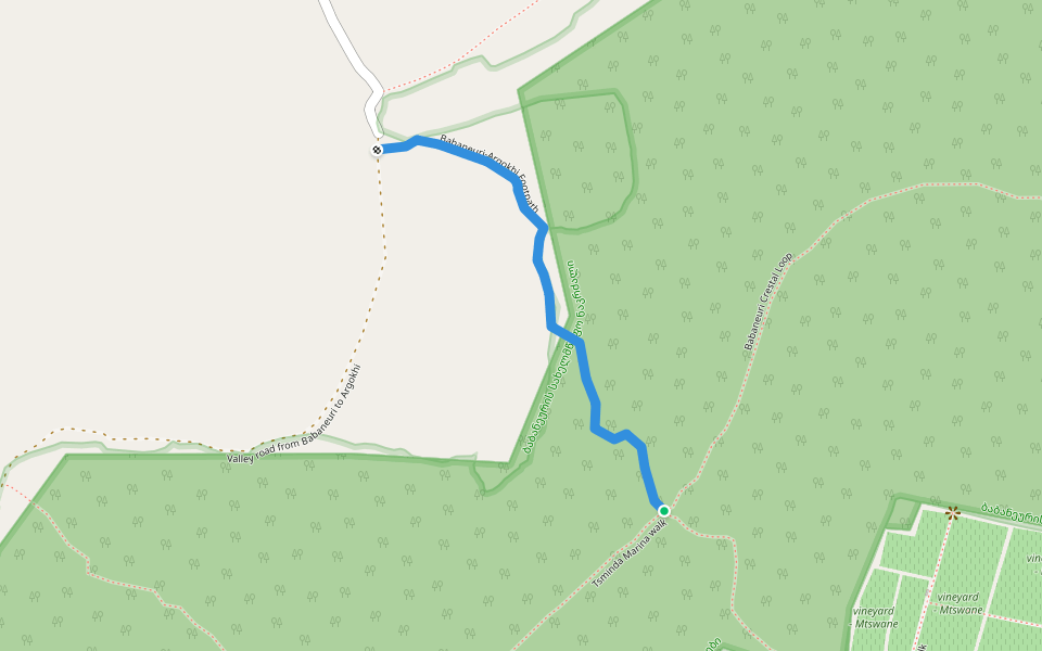 Babaneuri-Argokhi Footpath walking route map in Atskuri