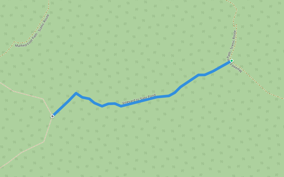 Vineyard to Slate Pond walking route map in New Haven