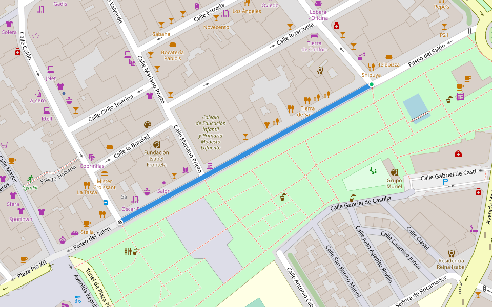 Paseo del Salón walking route map in Palencia