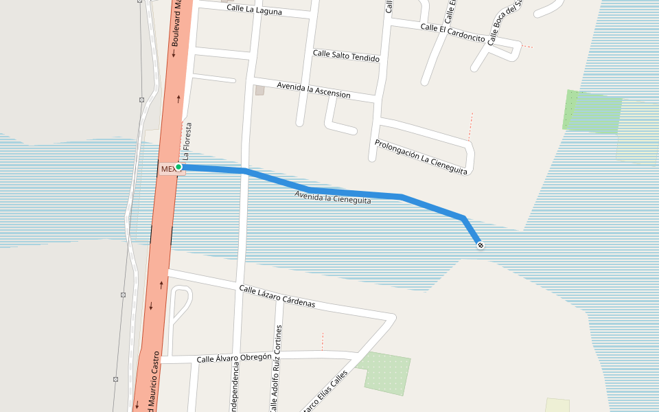 Avenida la Cieneguita walking route map in Santa Anita