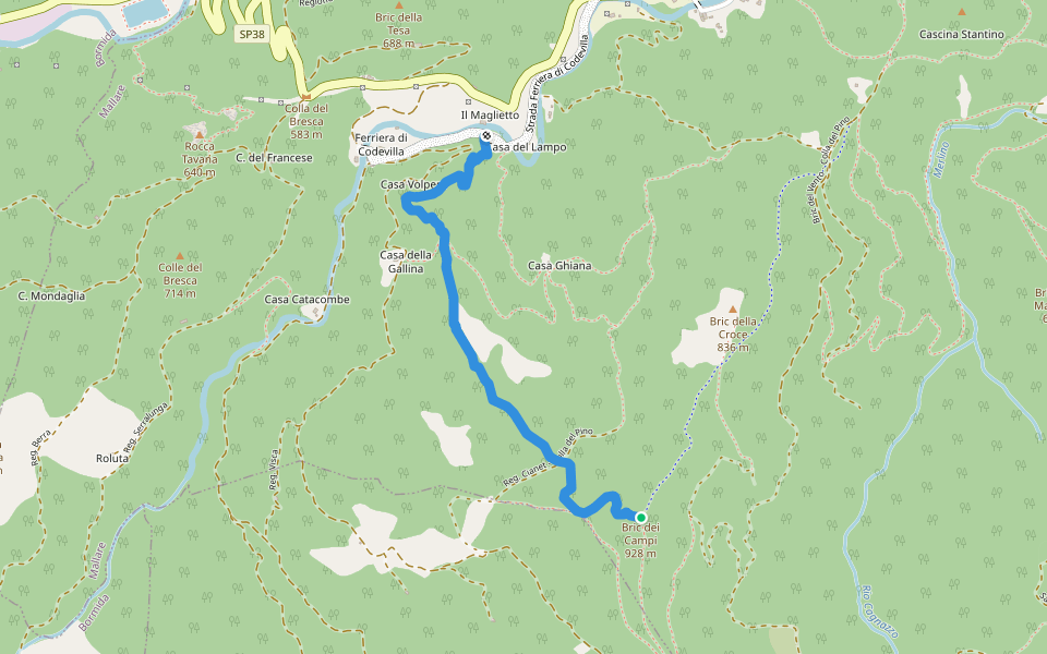Black Mamba walking route map in Ferriera di Codevilla