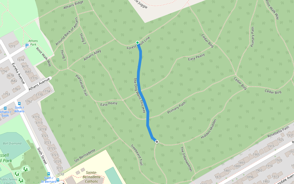 The Dog Went This way Walking And Running Trail Ottawa, Ontario Pacer