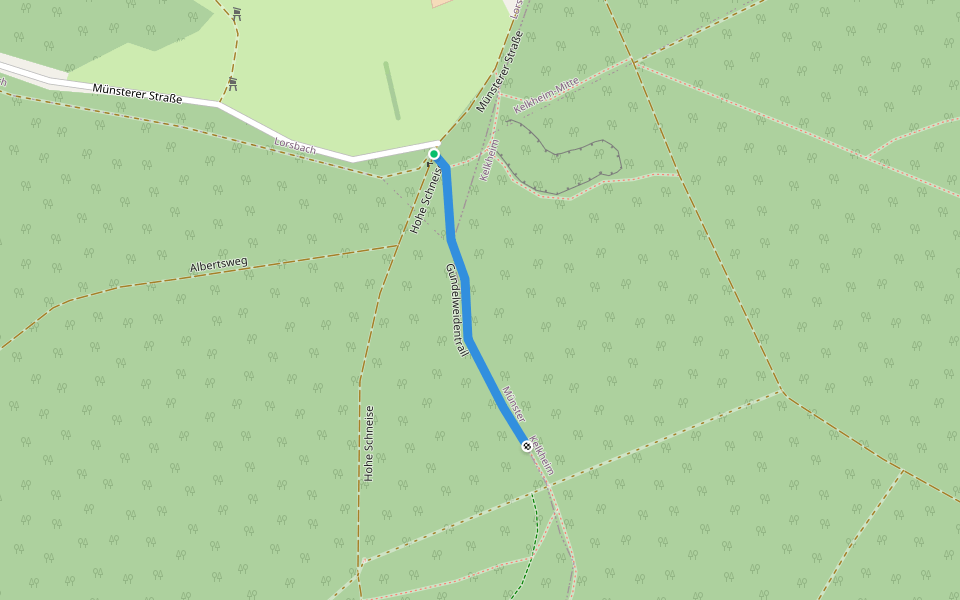 Gundelweidentrail walking route map in Hofheim am Taunus