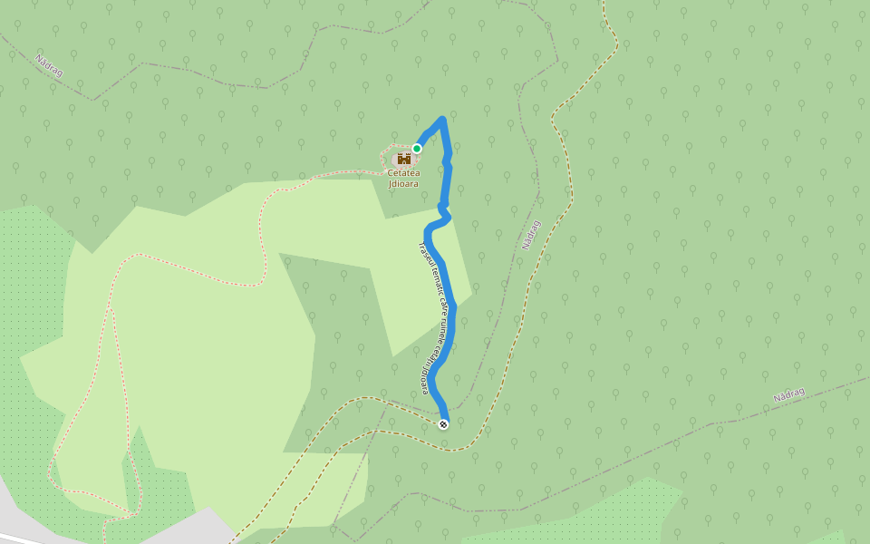 Traseul tematic către ruinele cetății Jdioara walking route map in Jdioara