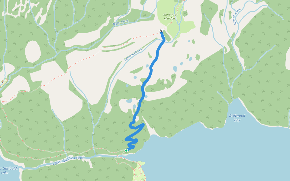 Black Tusk/Cinder Flats Trail