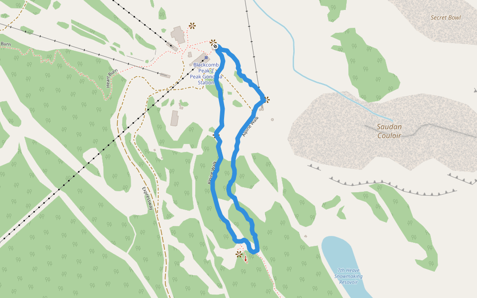 Alpine Walk