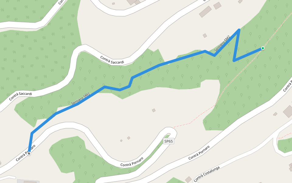 Sentiero SM2 walking route map in Pornaro