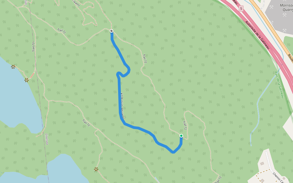 #72B (Irish Whiskey) walking route map in Chelsea