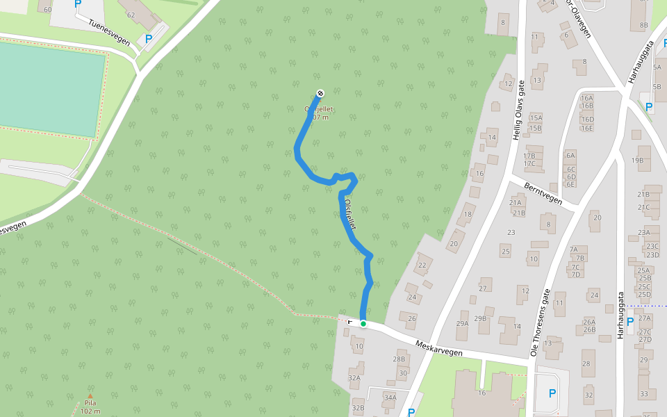 Olsfjellet walking route map in Ålesund