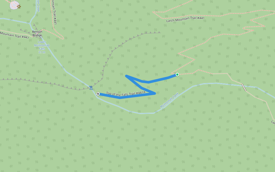 Top of the Falls Trail #441A