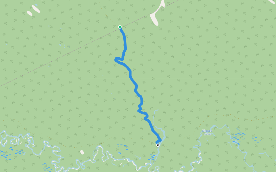 Five Cabin Trail walking route map in Tumbler Ridge