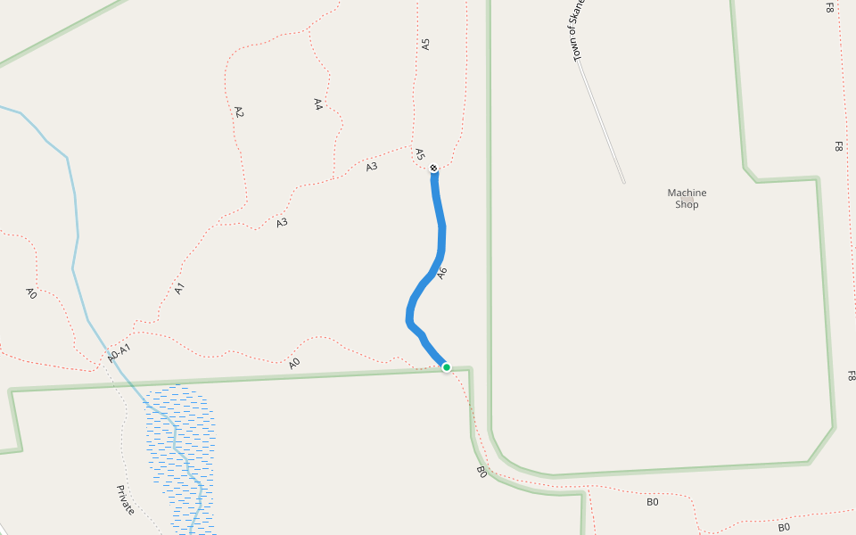 A6 Hiking Trail Marcellus, New York Pacer