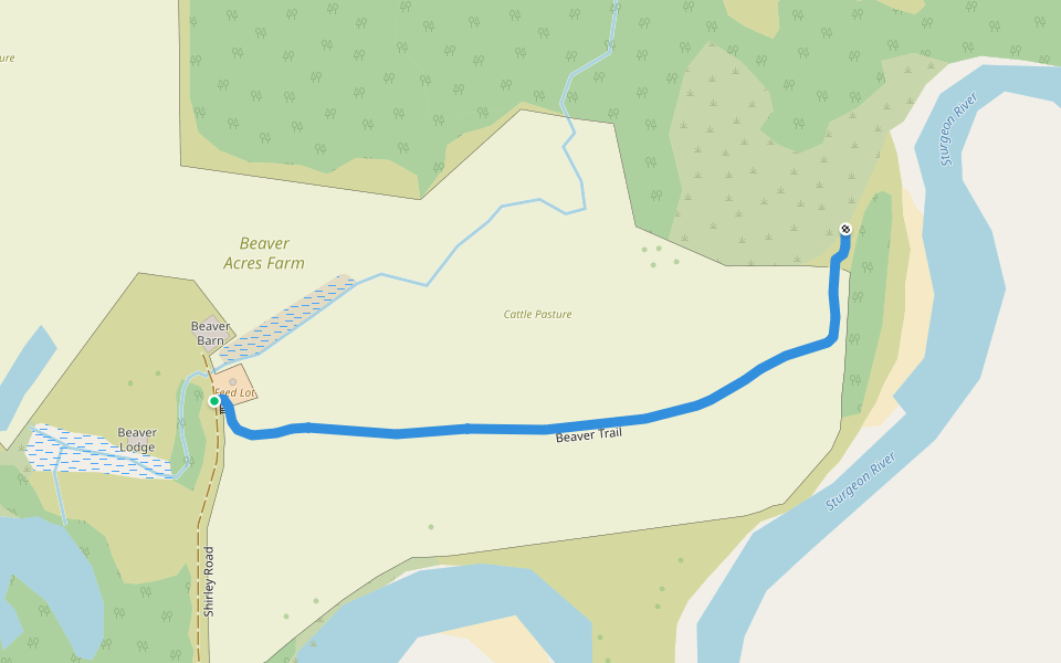 Beaver Trail walking route map in Baraga