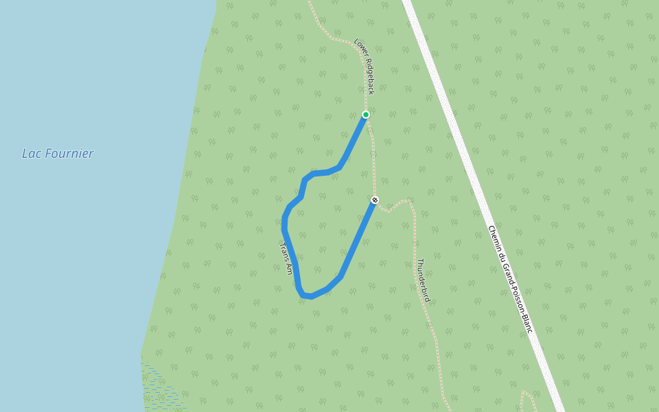 Trans Am walking route map in Gracefield