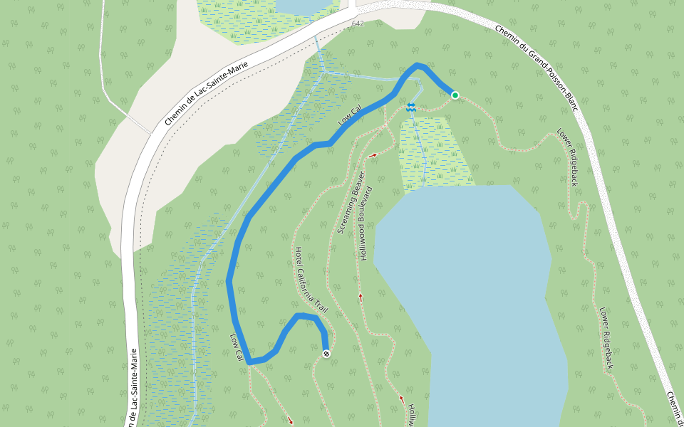 Low Cal walking route map in Gracefield