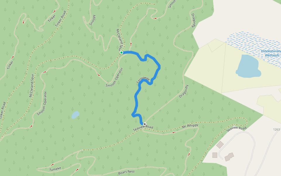 Centipede walking route map in Eskdale