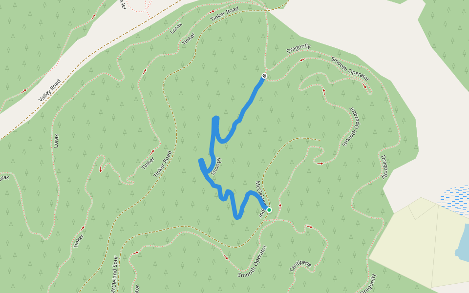 Snoopy walking route map in Eskdale