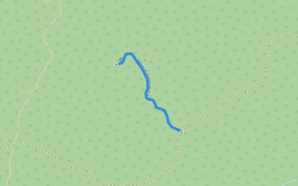 Sentier du Button-de-l'Est walking route map in Capucins