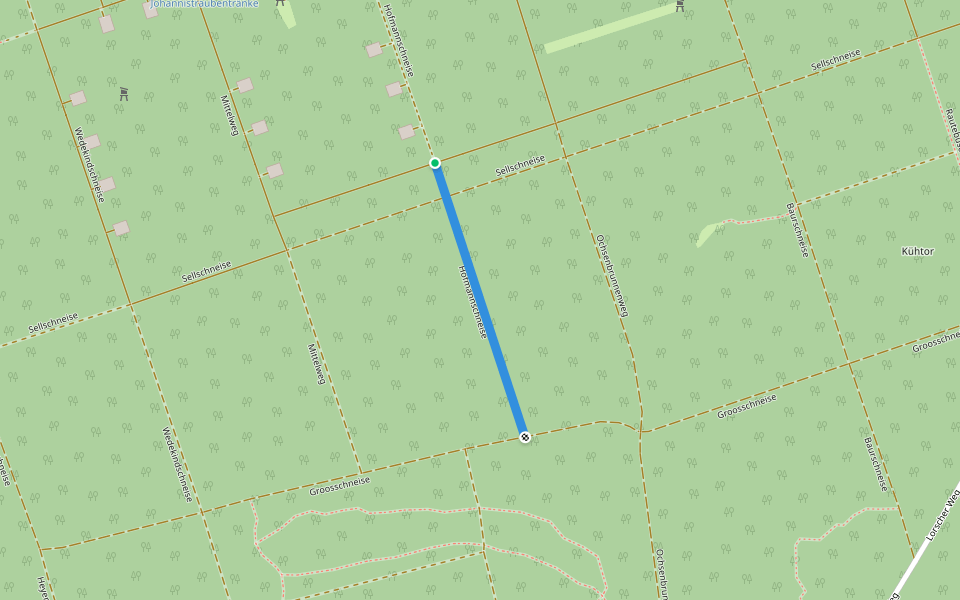 Hofmannschneise walking route map in Viernheim
