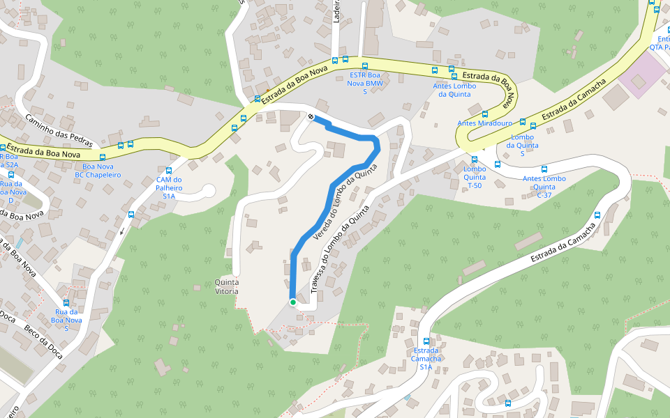 Vereda do Lombo da Quinta Walking And Running Trail - Funchal, Madeira ...