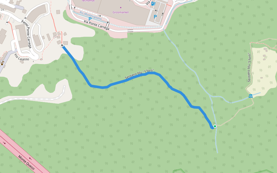 Blue path: 