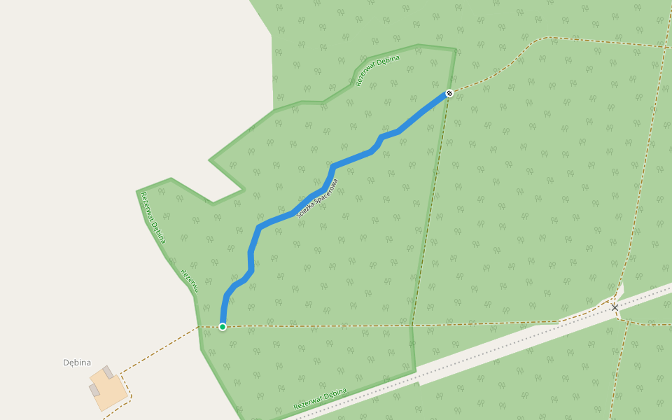 Ścieżka Spacerowa walking route map in Dębina