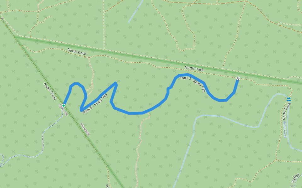 Track 5 - Koala Trail walking route map in Daisy Hill
