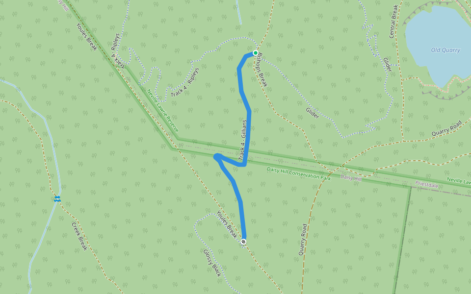 Track 4 - Gillians walking route map in Daisy Hill