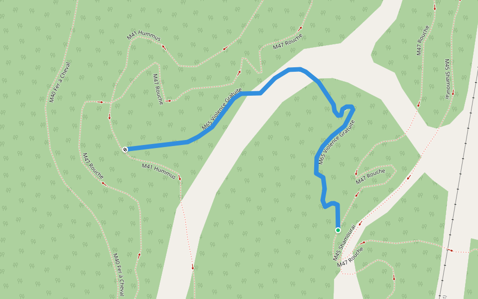M65 VG walking route map in Bromont