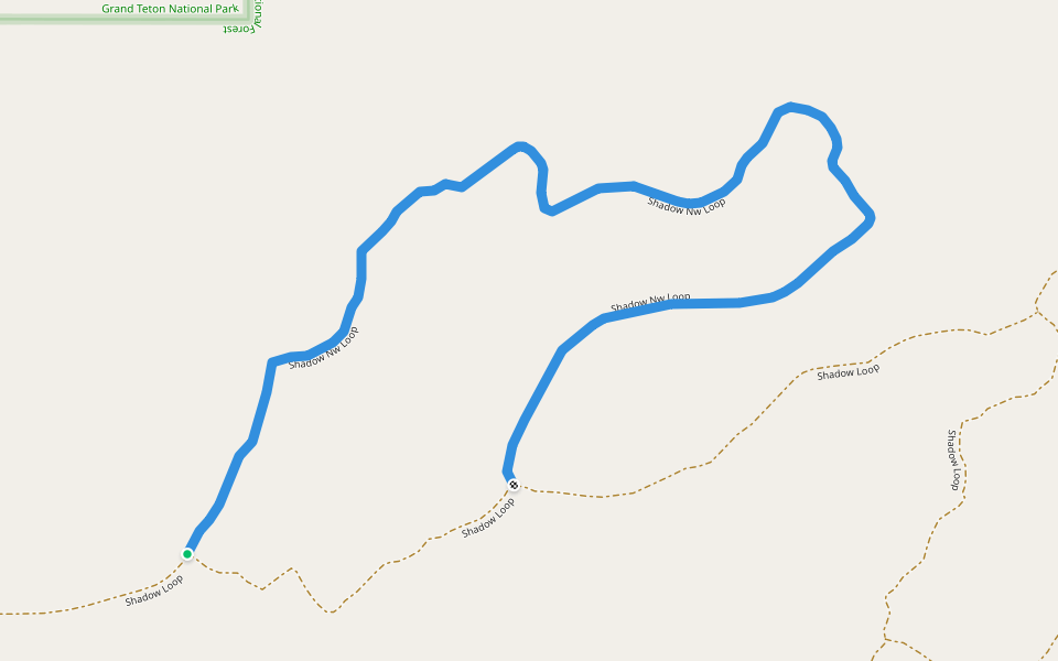 Shadow Nw Loop