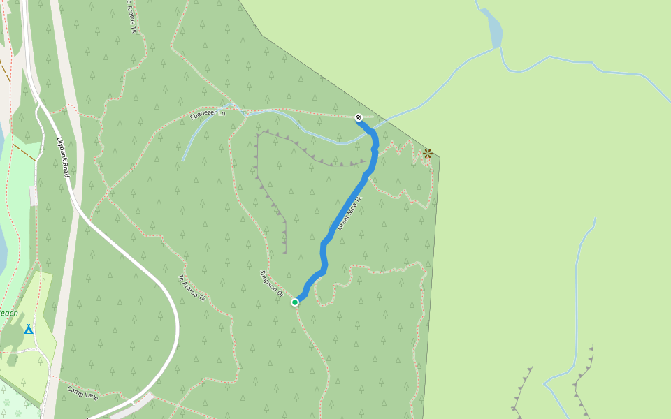 Great Moa Tk walking route map in Tekapo