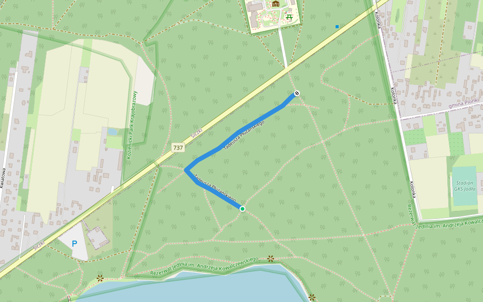 Tadeusza Płużańskiego walking route map in Jedlnia-Letnisko