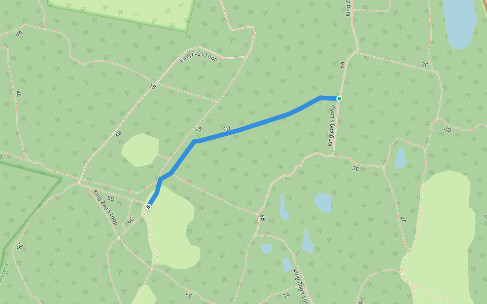 6D walking route map in Syosset