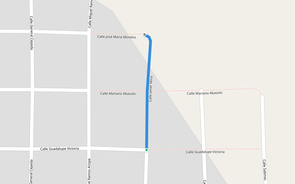 Calle Javier Mina walking route map in San Juan de Sabinas