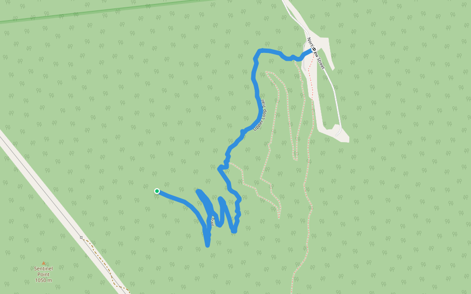 Upper Loop Trail walking route map in Narrows