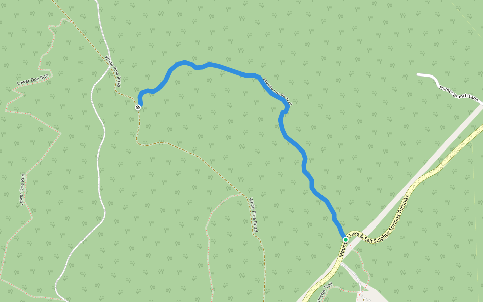 Middle Jungle Trail walking route map in Pembroke