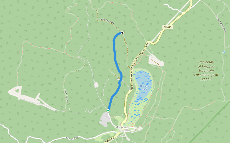 Upper Jungle Trail walking route map in Pembroke