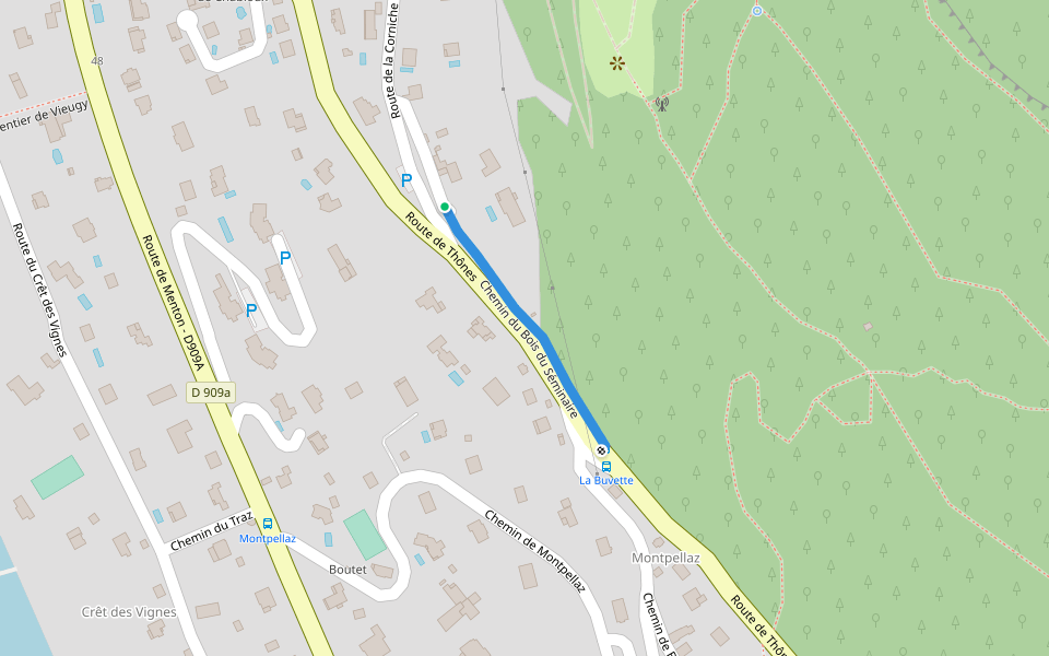 Chemin du Bois du Séminaire walking route map in Veyrier-du-Lac