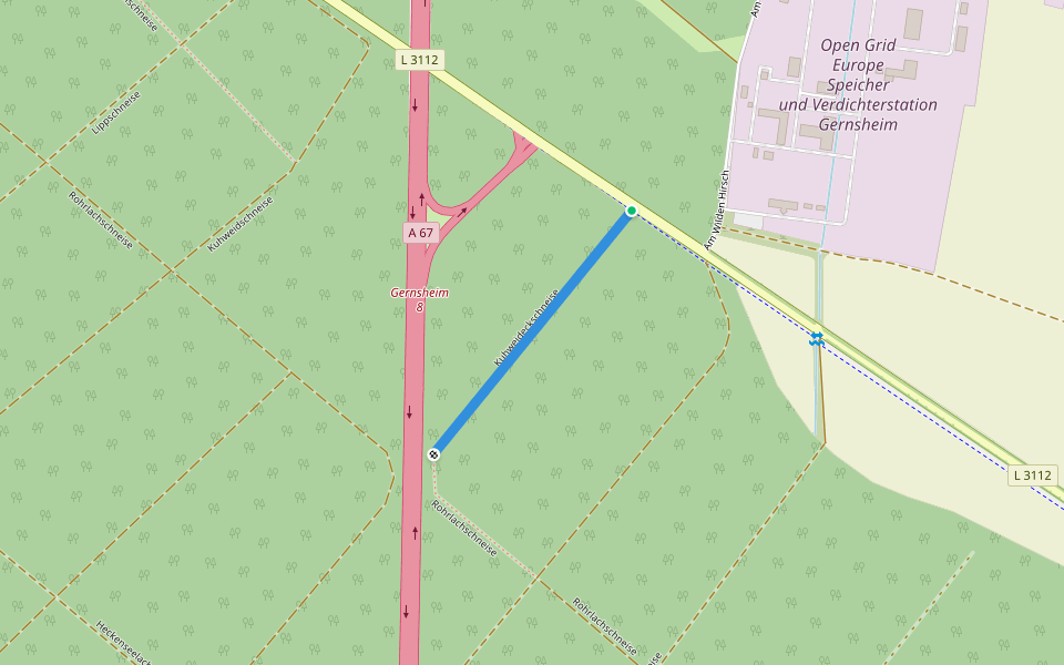 Kuhweideckschneise walking route map in Gernsheim