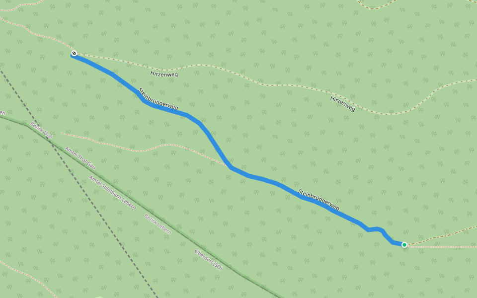 Steinbrüggerweg walking route map in Welschenrohr-Gänsbrunnen