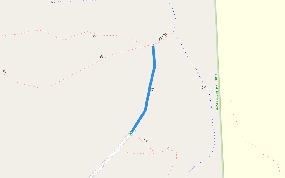 Forest Road / R1 walking route map in Dryden