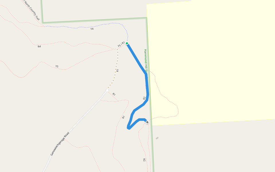 Finger Lakes / North Country Trail / R2 walking route map in Freeville