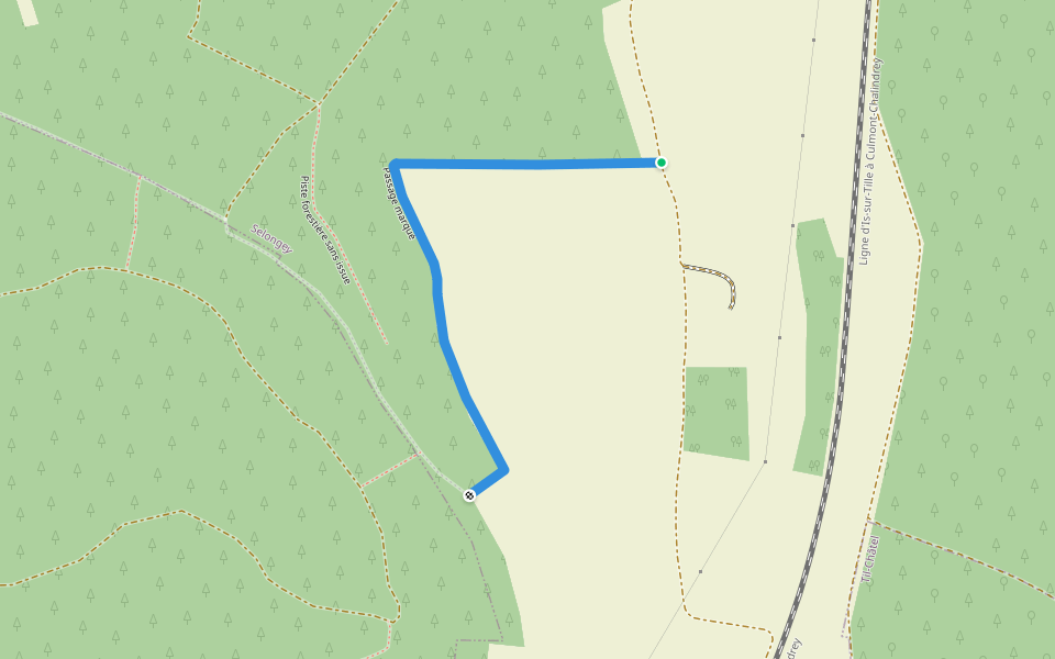 Passage marqué walking route map in Selongey
