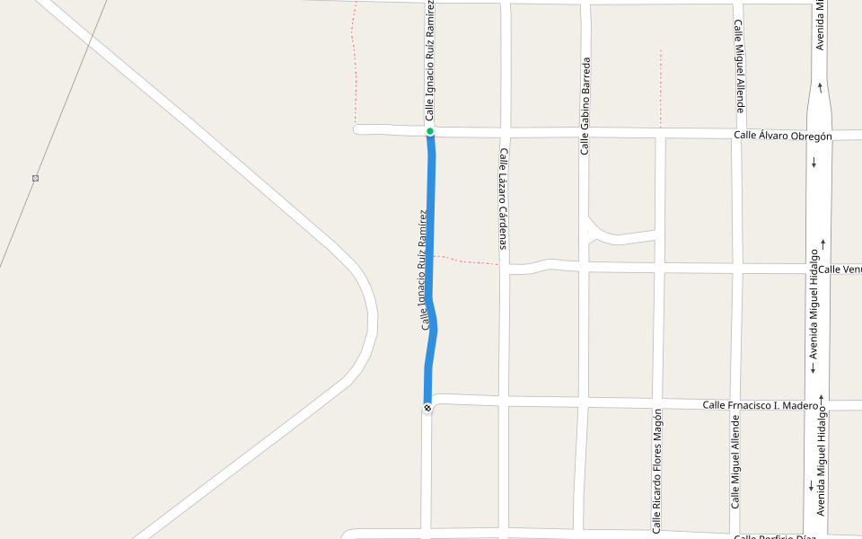 Calle Ignacio Ruíz Ramírez walking route map in Guayalejo